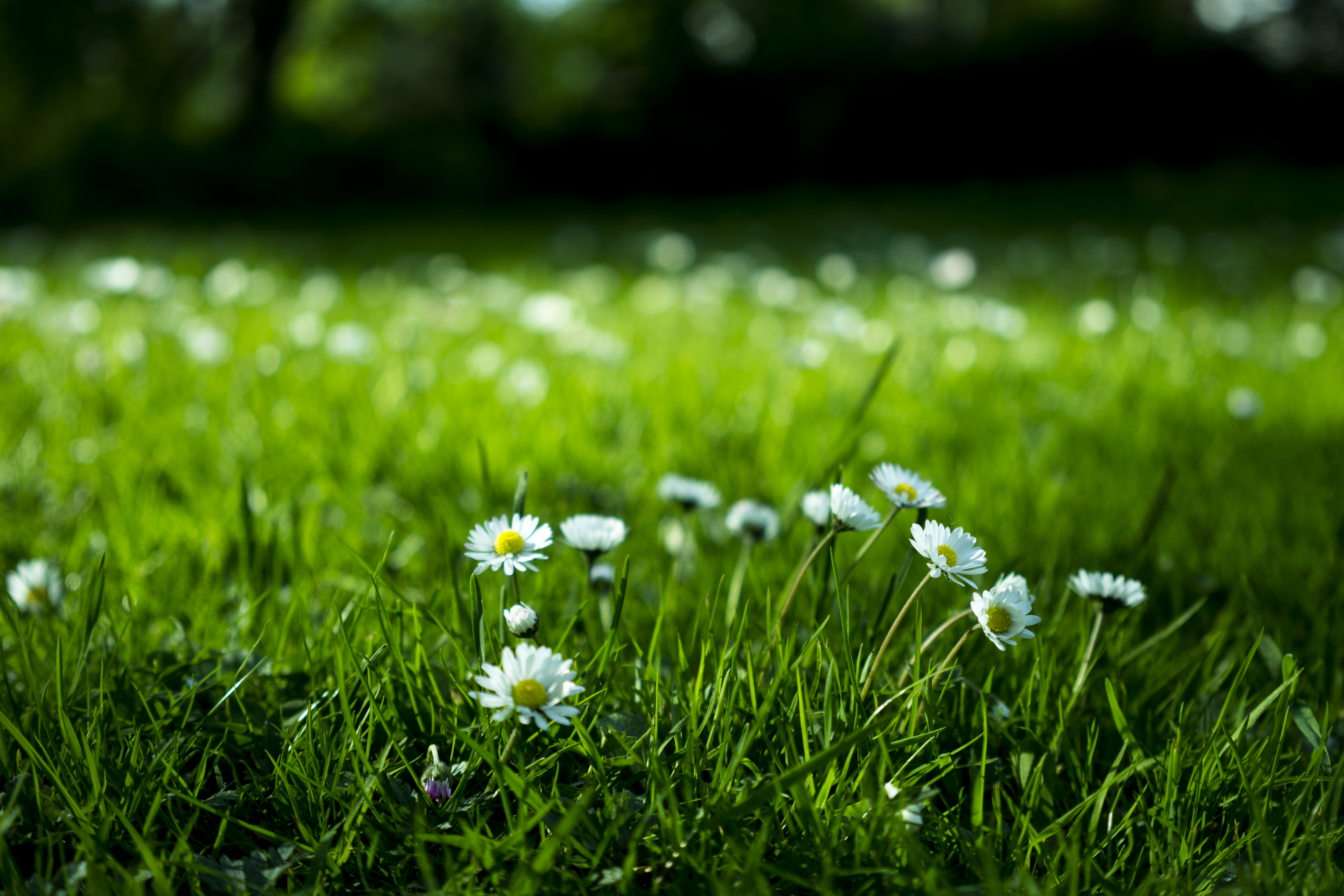 GreenTech: Mini Green Power ouvre son capital