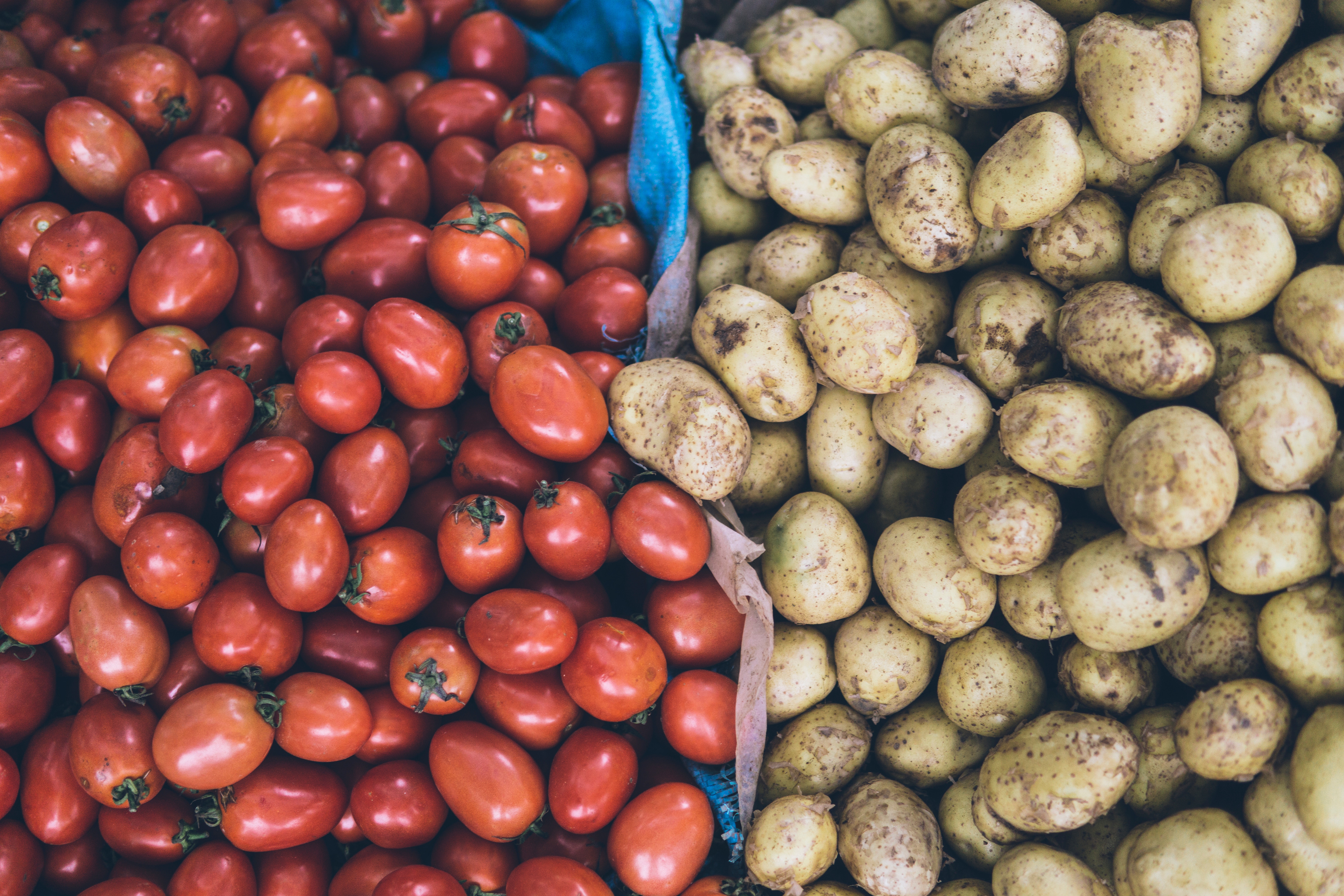 Agritech : Un agriculteur dans la ville