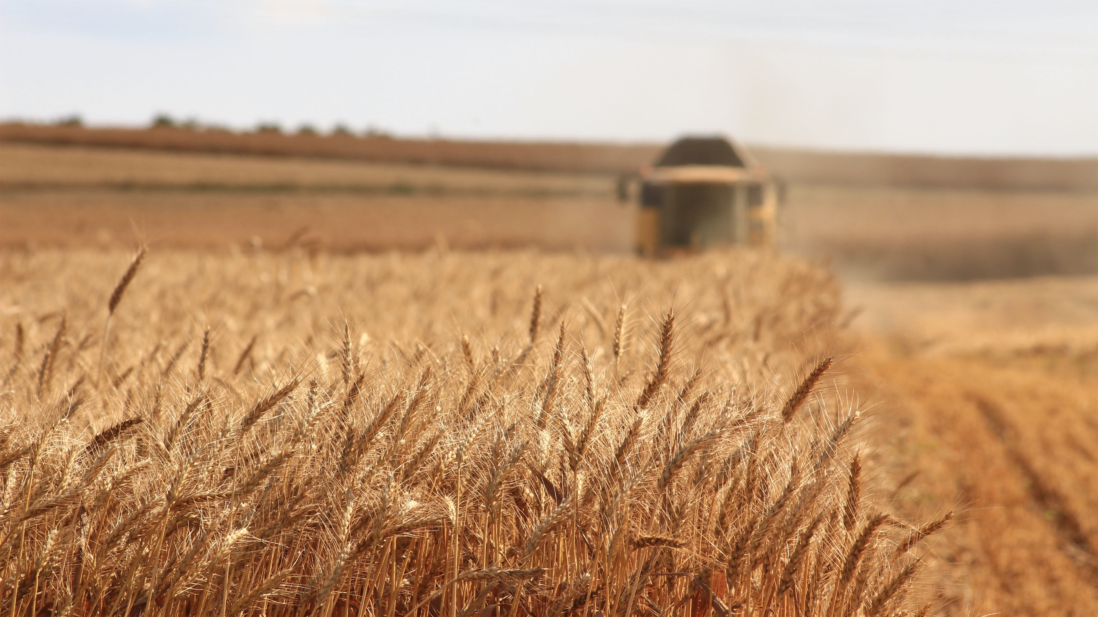 Défis Et Enjeux Majeurs De L’agriculture De Demain